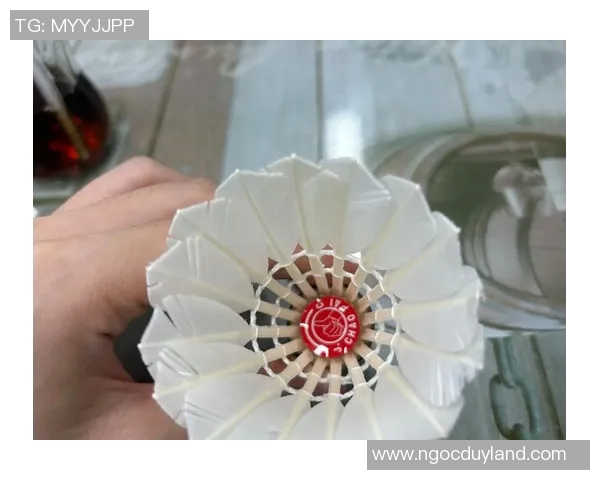 红超羽毛球的崛起与发展探讨：从竞技到休闲的全方位影响分析