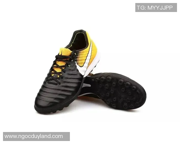 洛城银与多伦多的巅峰对决谁能在赛场上书写新的传奇