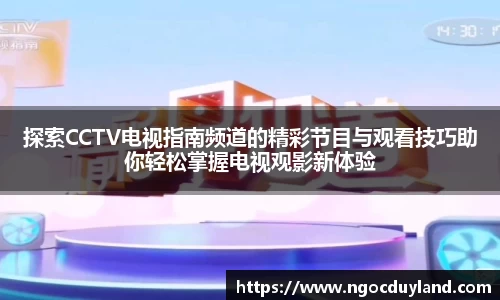 关键词4