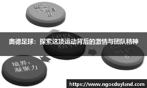 奥德足球：探索这项运动背后的激情与团队精神