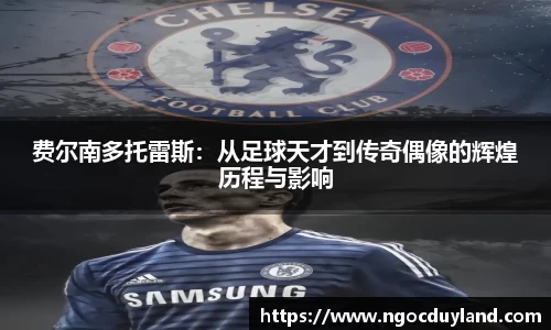 费尔南多托雷斯：从足球天才到传奇偶像的辉煌历程与影响