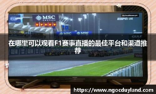 关键词3