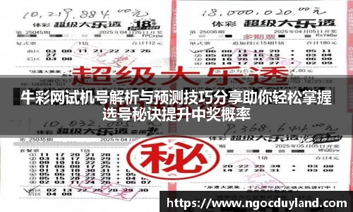关键词4