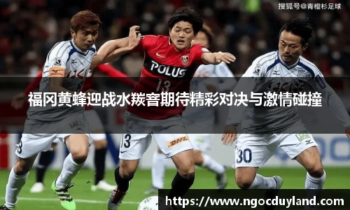 福冈黄蜂迎战水羰窨期待精彩对决与激情碰撞